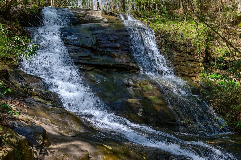 Chattahoochee-Oconee National Forest (Conasauga District)