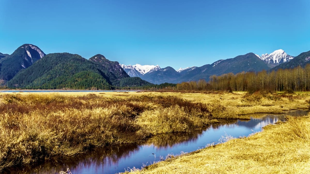 Coquitlam Watershed, British Columbia