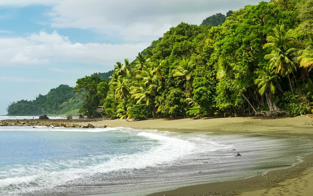 Beach line, Corcovado National Park, Costa Rica