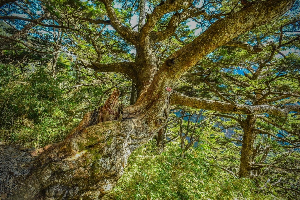 Core Resource Conservation Area, Taiwan