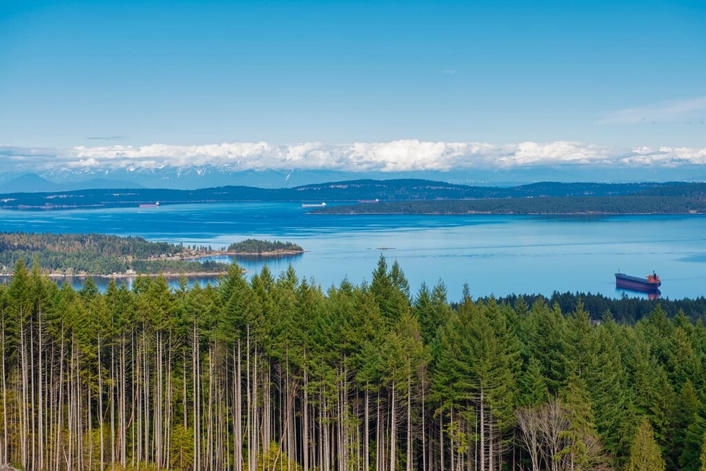Lookout view of Ladysmith shoreline. Cowichan Valley Regional District, Canada