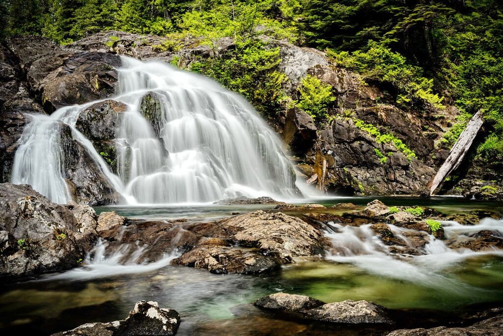 Carmanah Walbran Provincial Park. Cowichan Valley Regional District, Canada