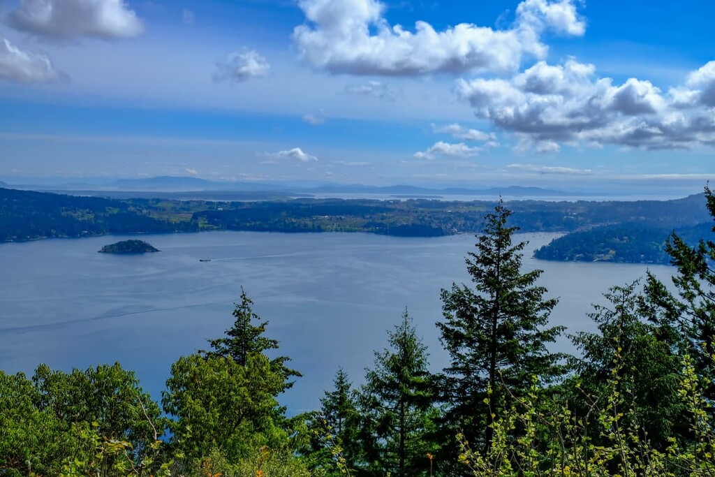 Cowichan Valley Regional District Mountains   Cowichan Valley Regional District Canada Bay Forest 