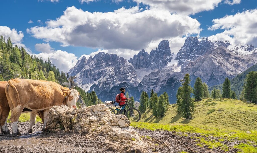 mountain bike, Cristallo group, Dolomites