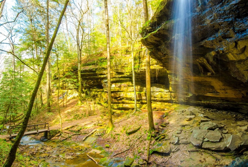 Bankhead National Forest, Cumberland Plateau, Kentucky