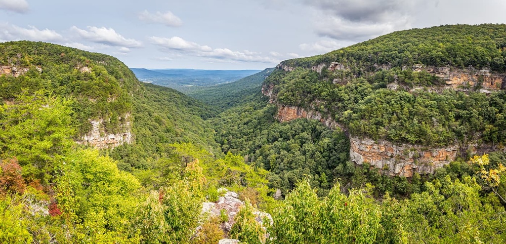 Cloudland Canyon State Park, Cumberland Plateau