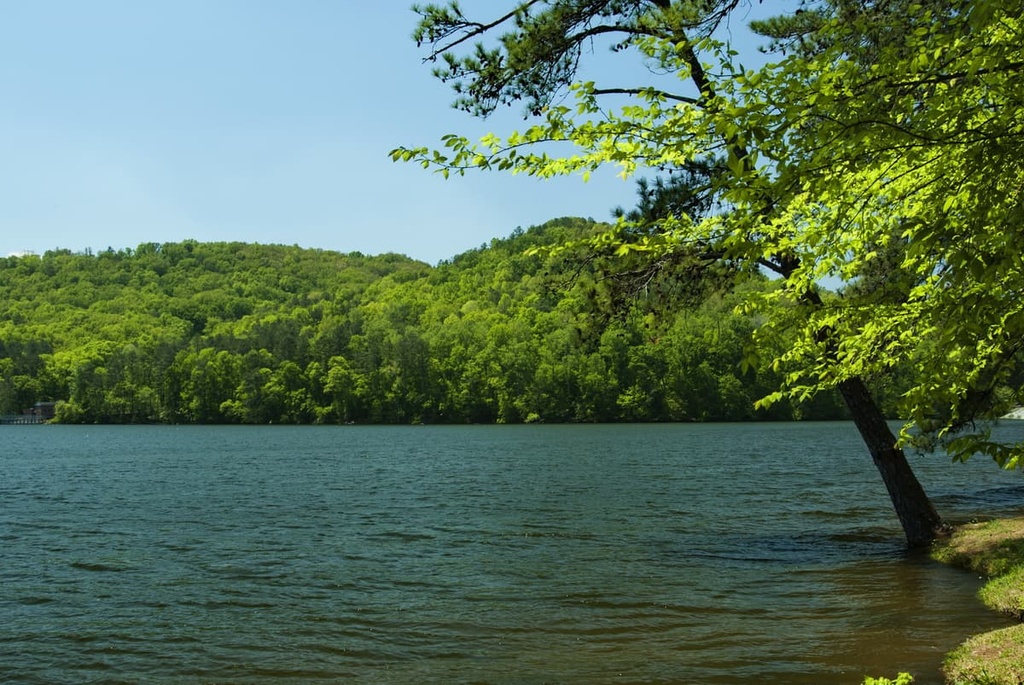 Lake Guntersville, Cumberland Plateau