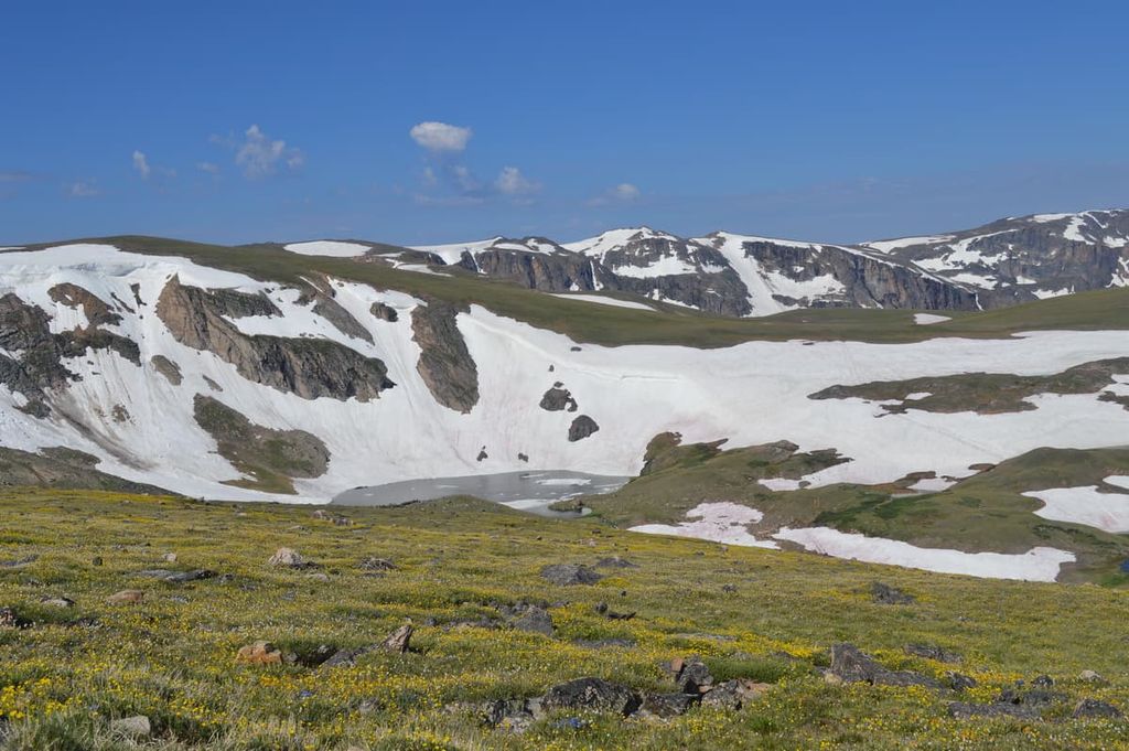 Snow capes, Custer-Gallatin National Forest, Montana