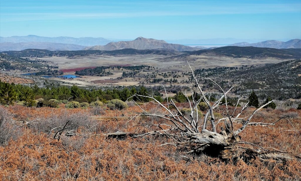 Cuyamaca City, Cuyamaca Rancho State Park, California