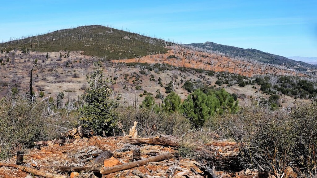 Cuyamaca Rancho State Park, California