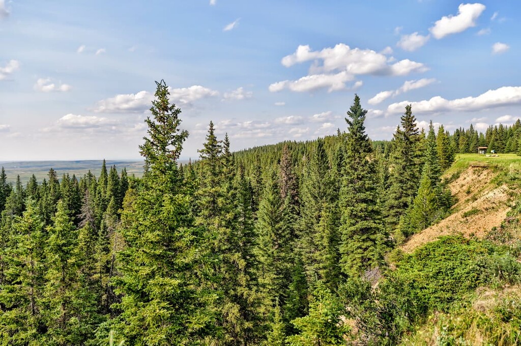 Cypress County, Canada