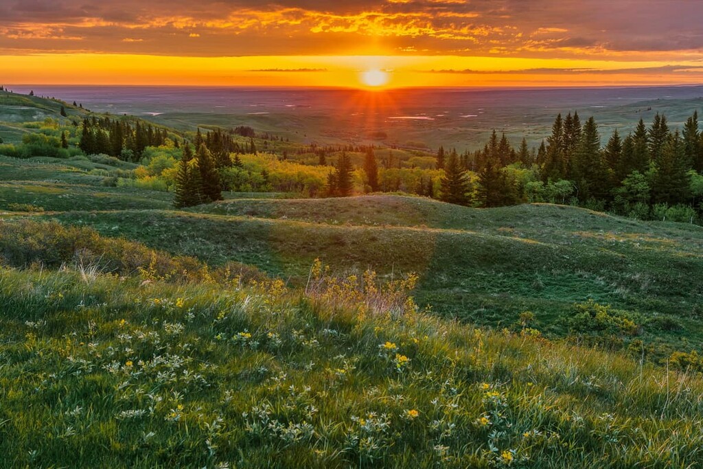 Cypress County, Canada