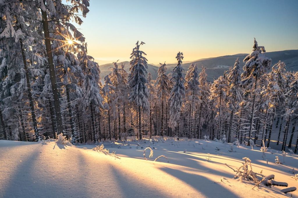 Czechia Mountains