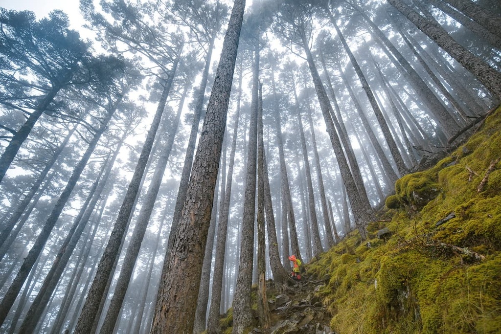 Da Xue Mountain and Zhong Xue Mountain Special Scenic Area, Taiwan