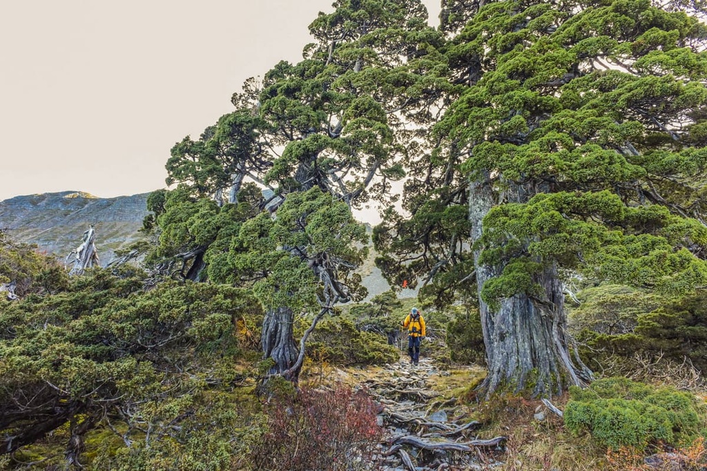 Da Xue Mountain and Zhong Xue Mountain Special Scenic Area, Taiwan