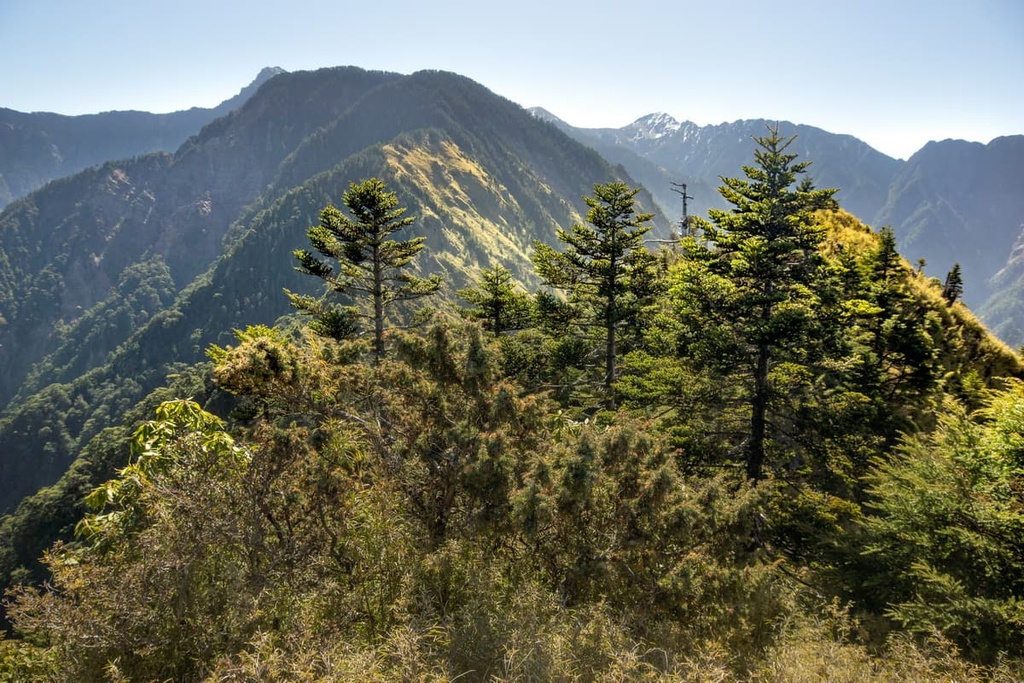 Da Xue Shan National Forest Recreation Area, Taiwan