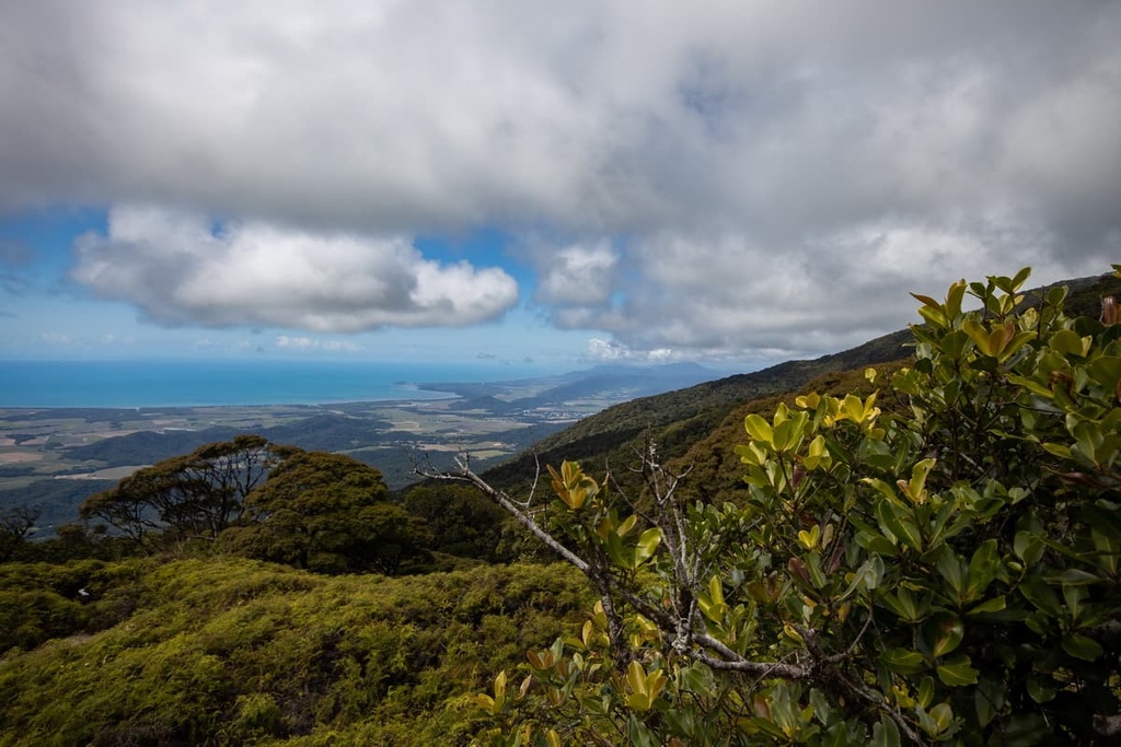 Daintree National Park, Australia