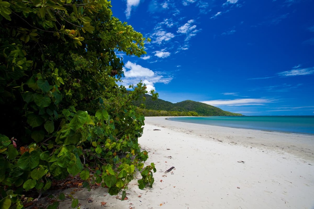 Daintree National Park, Australia