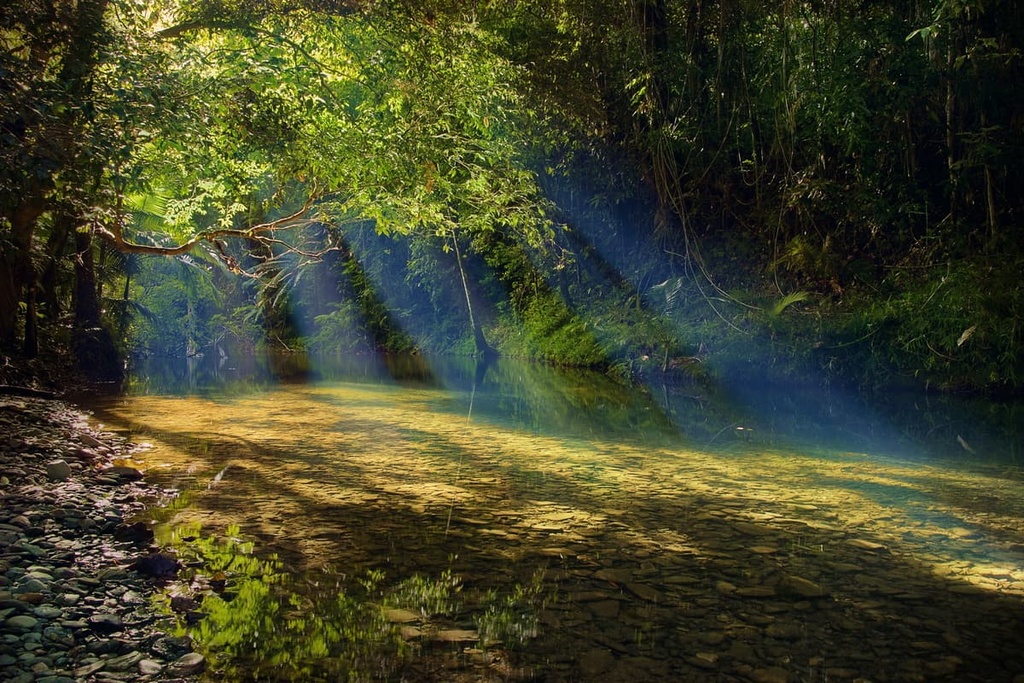 Daintree National Park, Australia