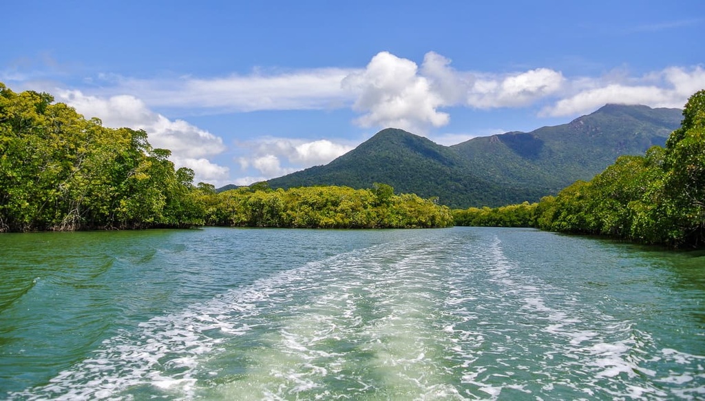 Daintree National Park, Australia