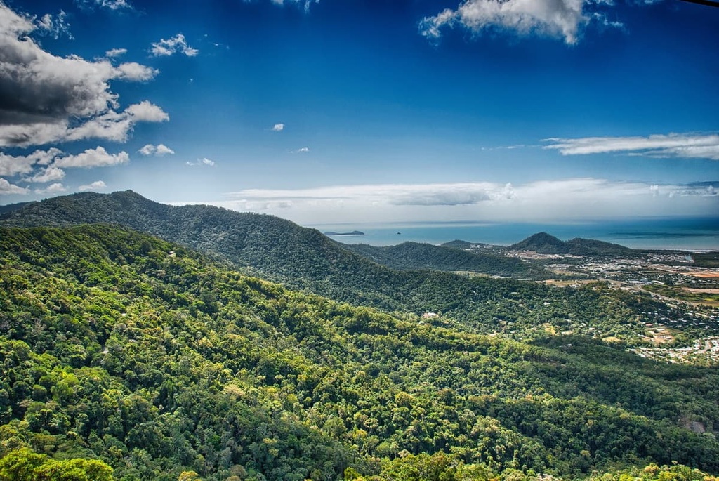 Daintree National Park