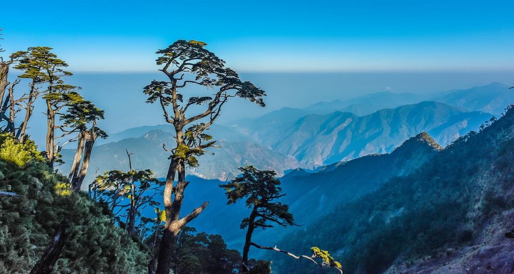 Forest of Taiwan hemlock Danda Major Wildlife Habitat, Taiwan