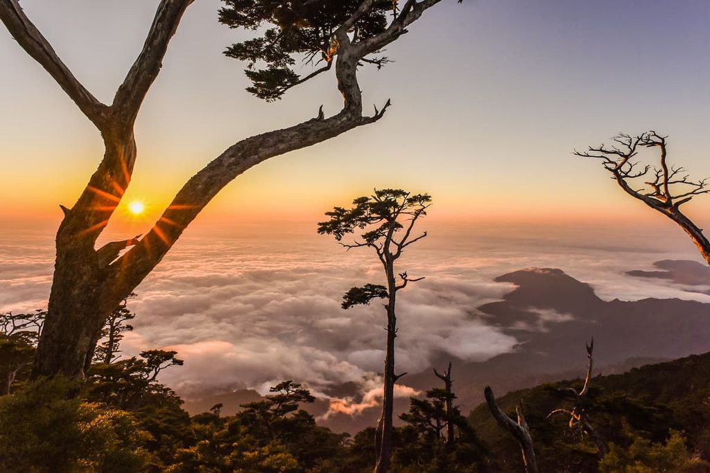 Beidawushan, Dawu Mountain Nature Reserve, Taiwan
