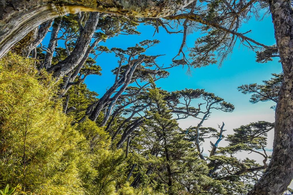 Dawu Mountain Nature Reserve, Taiwan