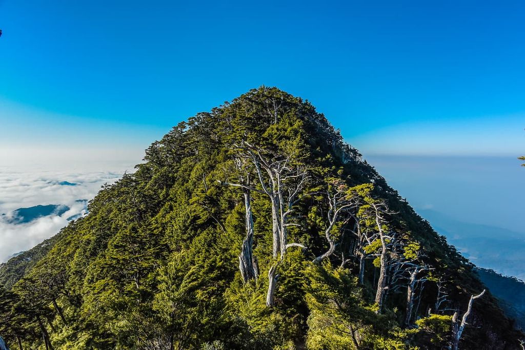 Dawu Mountain Nature Reserve, Taiwan