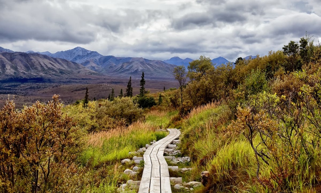 Savage Alpine Trail, Denali Wilderness, Alaska