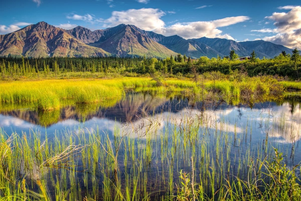 Denali Wilderness, Alaska