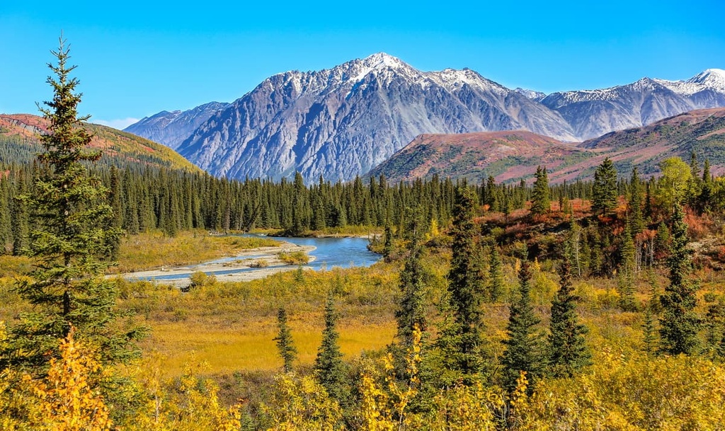 Denali Wilderness, Alaska
