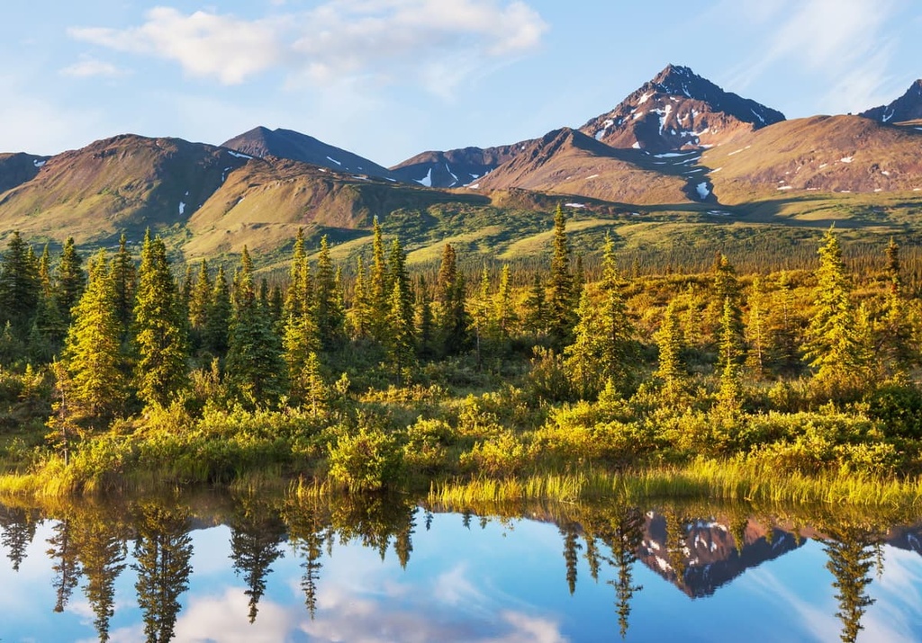 Denali Wilderness, Alaska