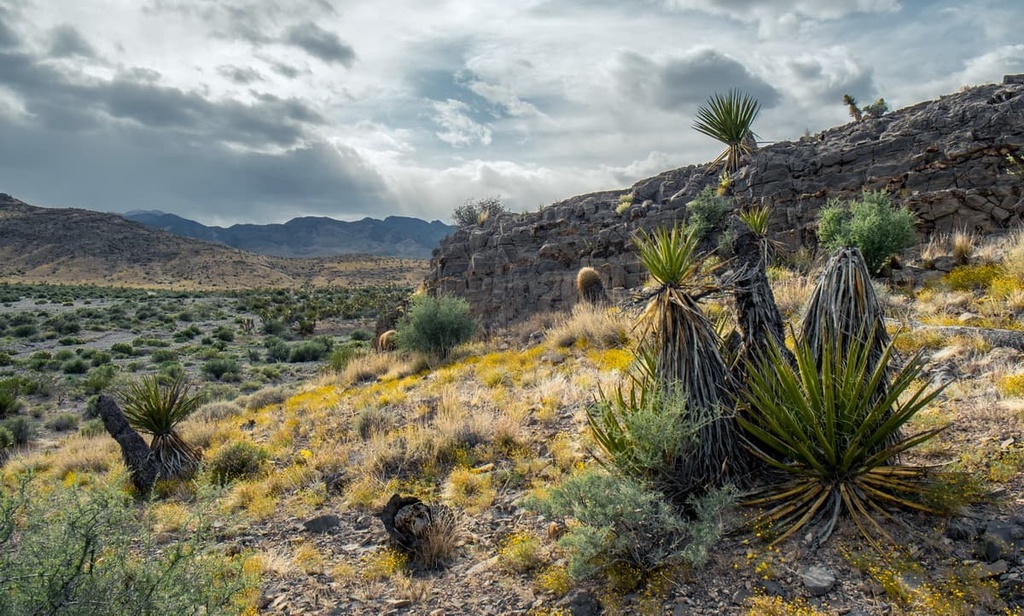 Desert National Wildlife Refuge, Nevada