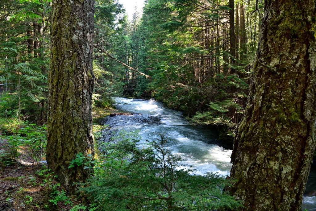 Dickson Range, British Columbia