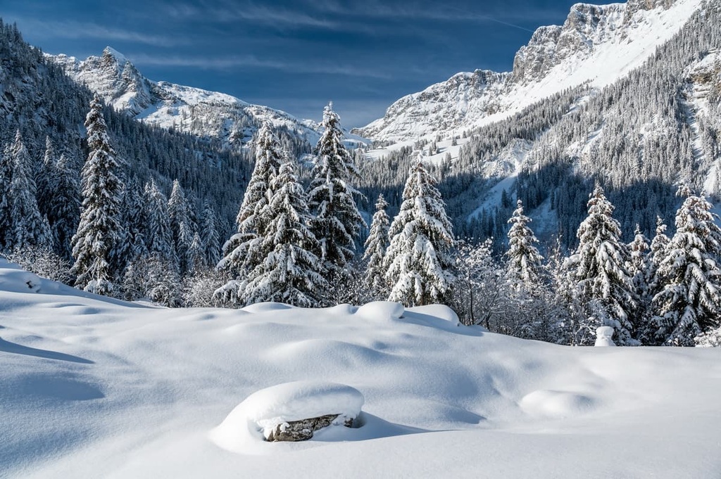 Diemtigtal Nature Park