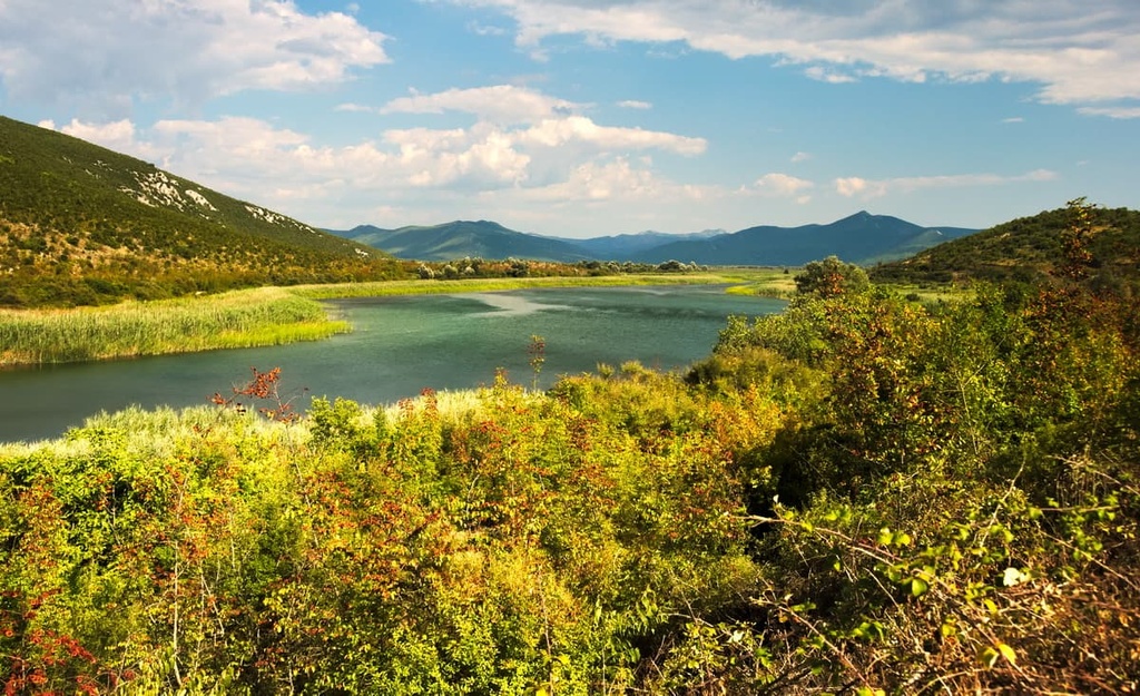Hutovo Blato - a nature reserve and bird reserve, Dinaric Alps