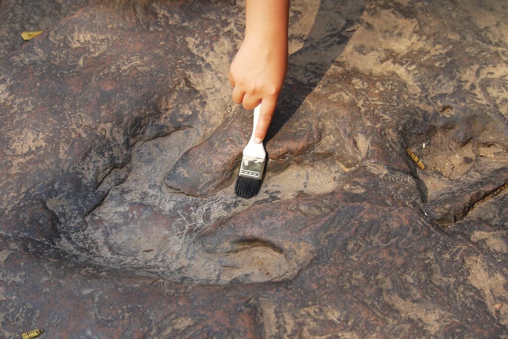 Fossil Discovery Trail Dinosaur National Monument, Utah , Colorado