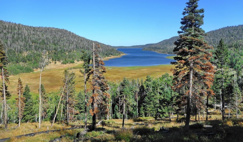 Navajo Lake, Dixie National Forest, Utah