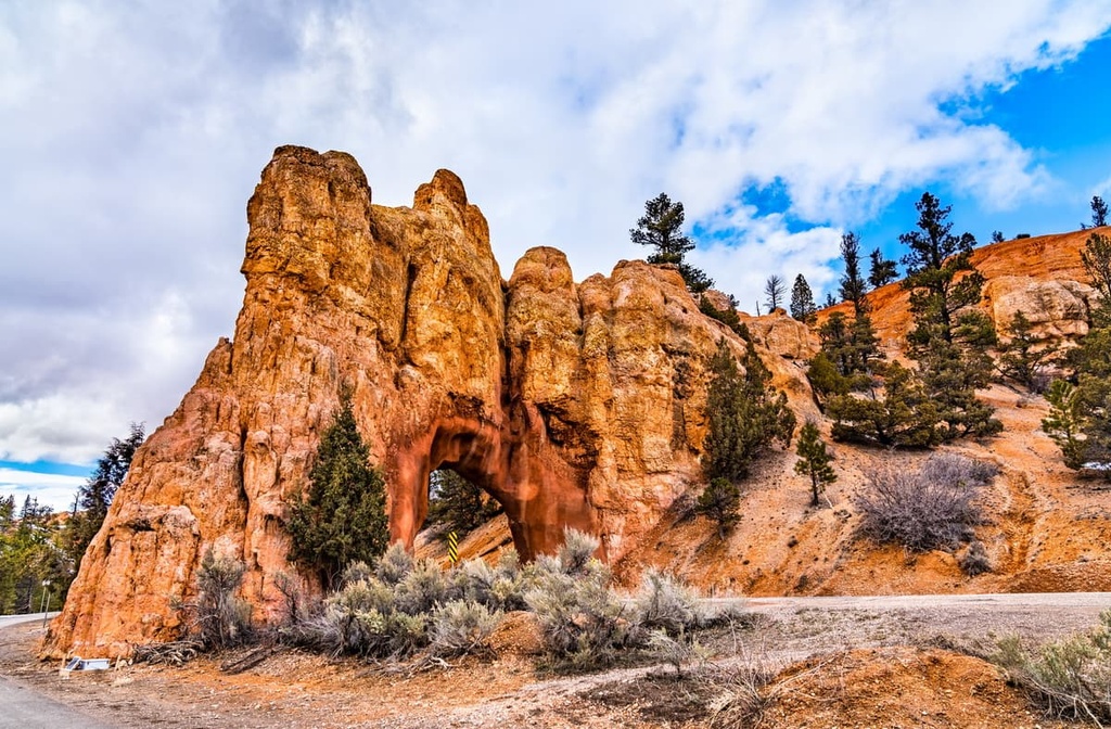 Dixie National Forest