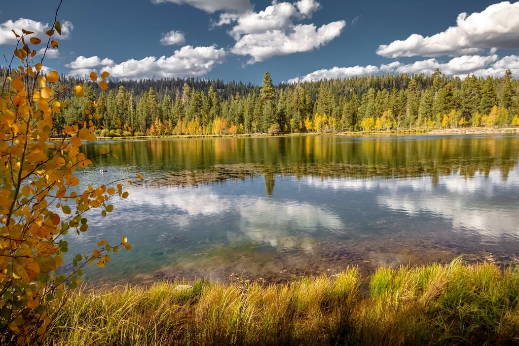 Dixie National Forest