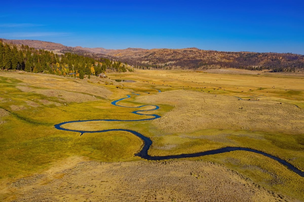 Best hikes in hotsell dixie national forest