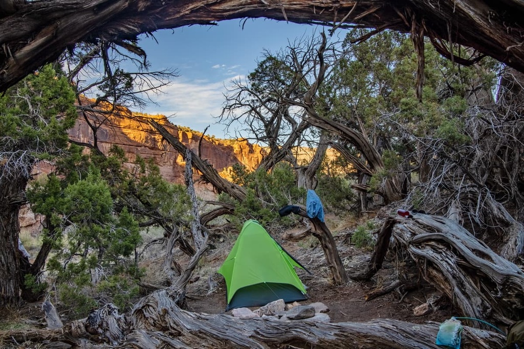 Dominguez Canyon Wilderness, Colorado
