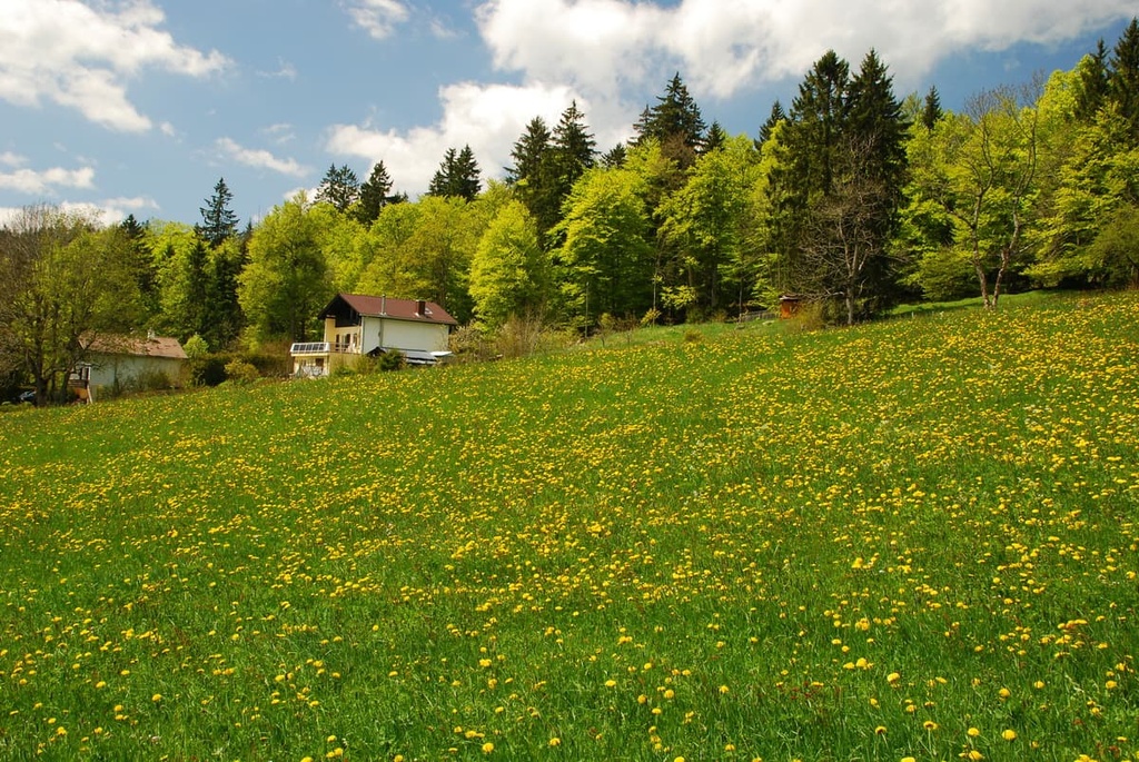 La-Chaux-de-Fonds, Doubs Nature Park, Switzerland