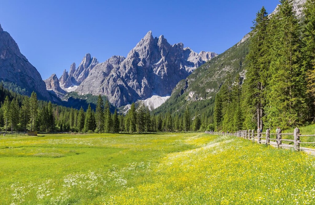 Tre Cime Nature Park