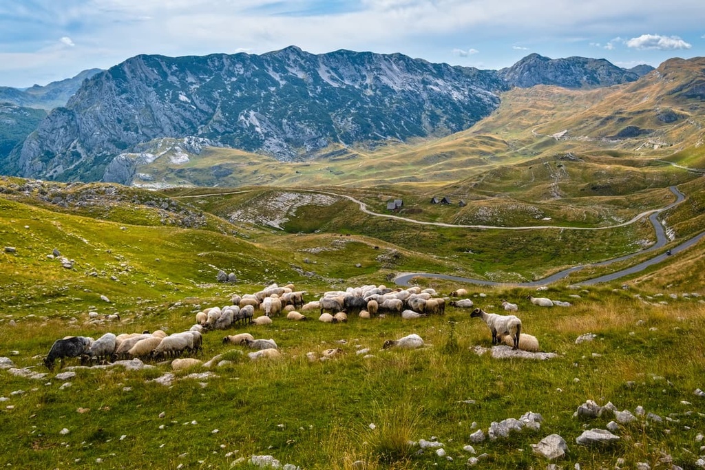 Durmitor National Park, Montenegro
