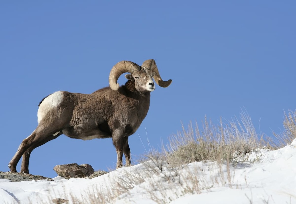 East Humboldt Range, Nevada