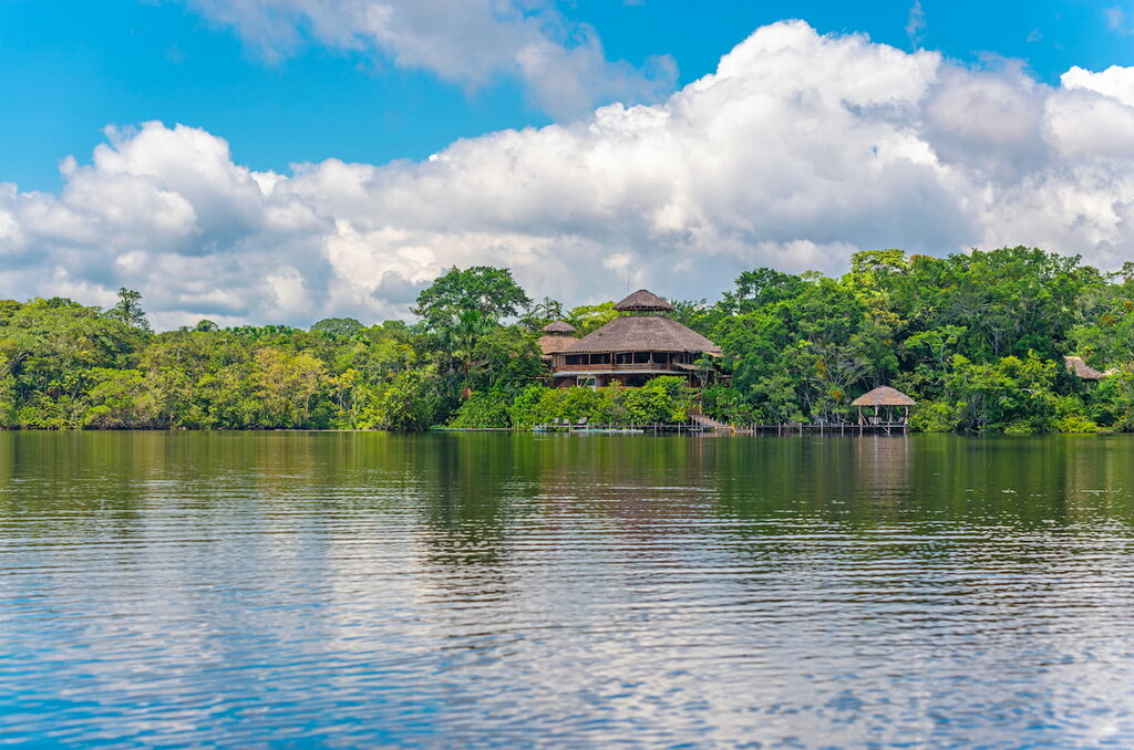 Amazon Rainforest. Yasuní National Park, Ecuador 