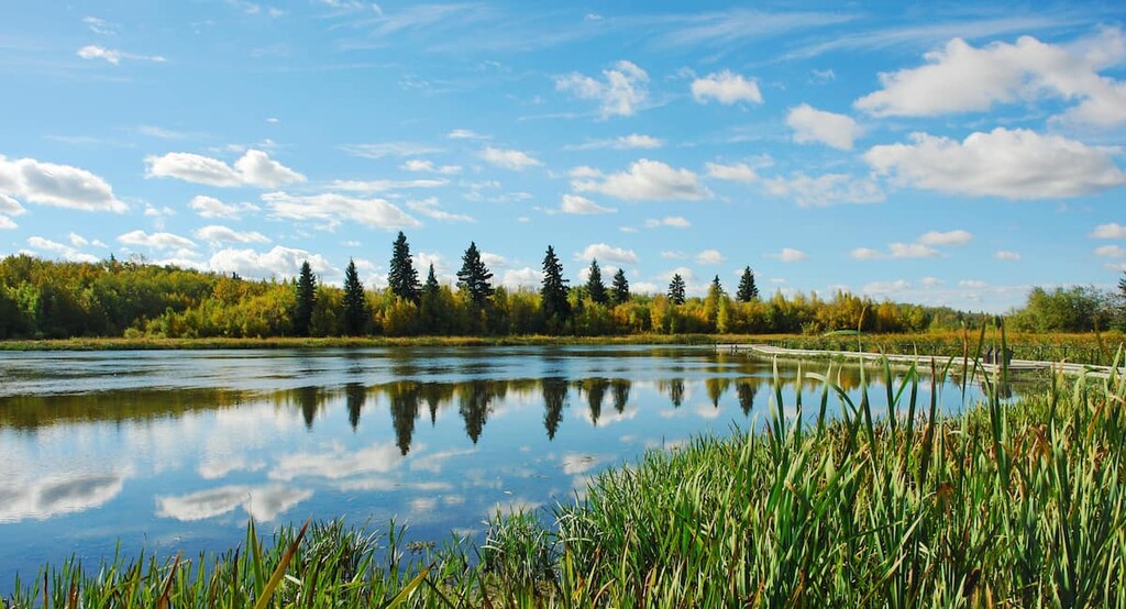Elk Island National Park, Alberta, Canada
