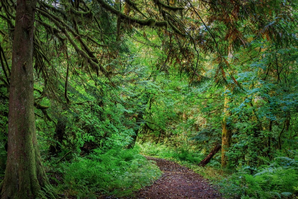 Elaho Range, British Columbia